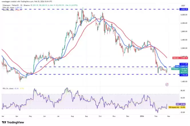 ���ż��ܻ��Ҽ۸�����Ԥ�⣺���رҡ���̫�����Ұ��ҡ�Solana��