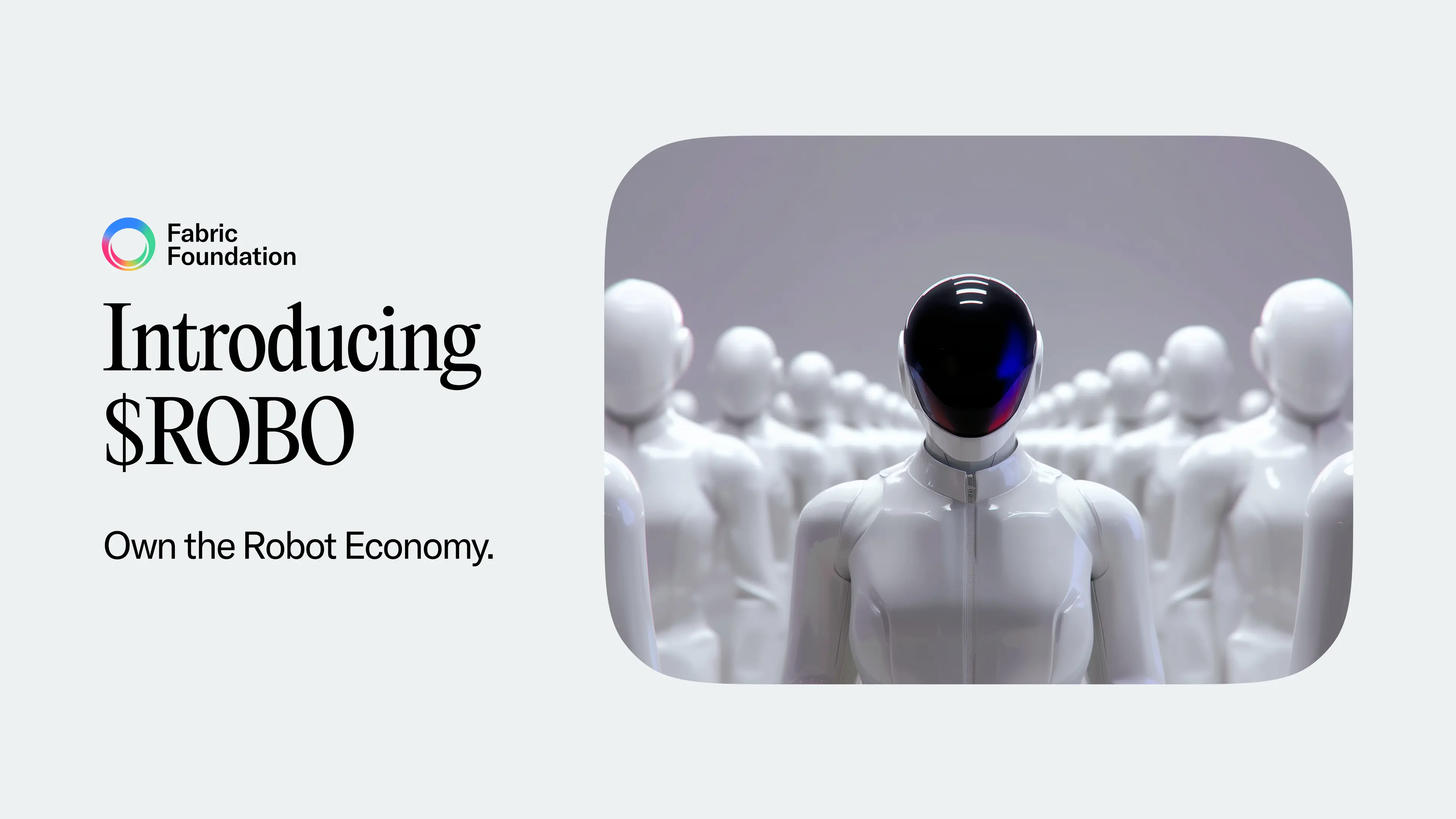 Fabric Protocol (ROBO)��ʲô���֣�ROBO��ֵ��Ͷ����ǰ����Σ�