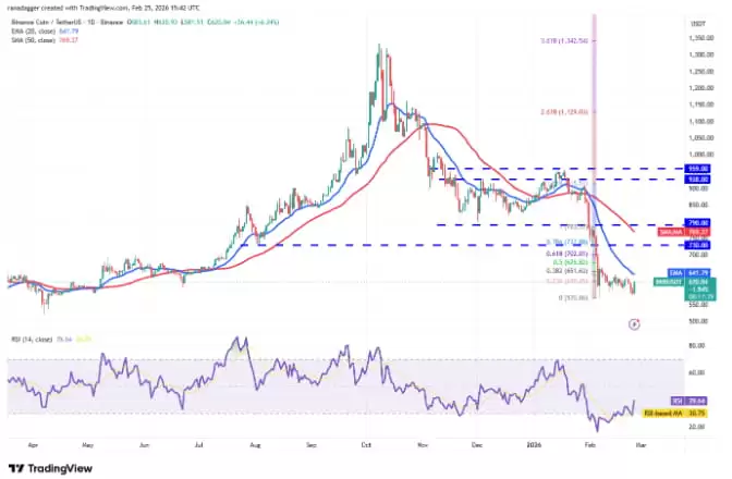 ���ż��ܻ��Ҽ۸�����Ԥ�⣺���رҡ���̫�����Ұ��ҡ�Solana��