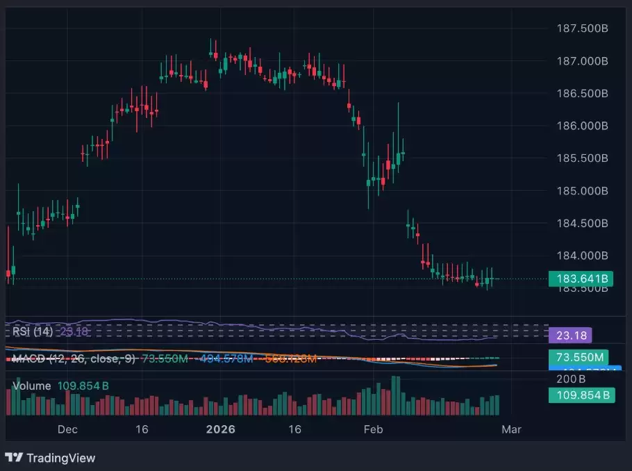 2026��2��usdt����0.8% ��ԭ�����