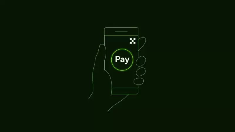 ��μ����Լ���Pay�˺ţ�����������ʲô������Pay�˺ŵĲ�������