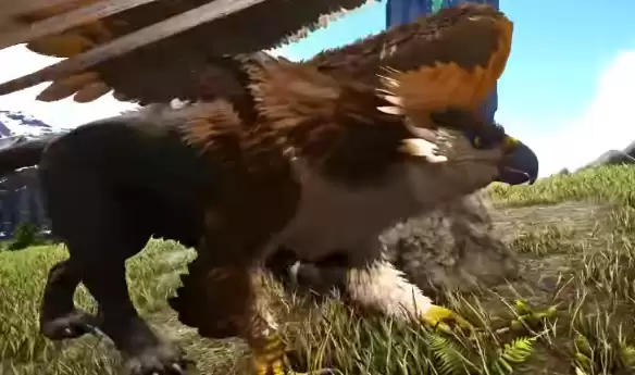 �����ۣ����������ʨ��ѵ��ʳ�����