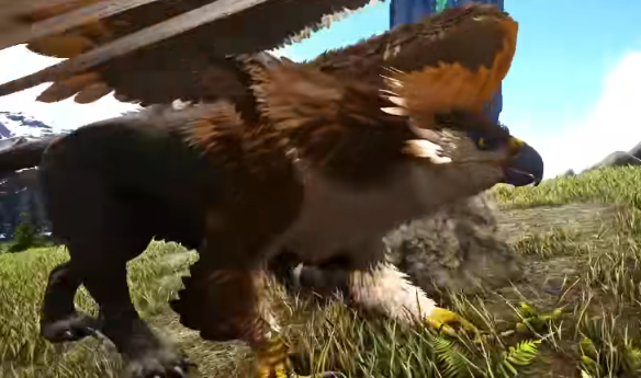 �����ۣ����������ʨ��ѵ��ʳ�����