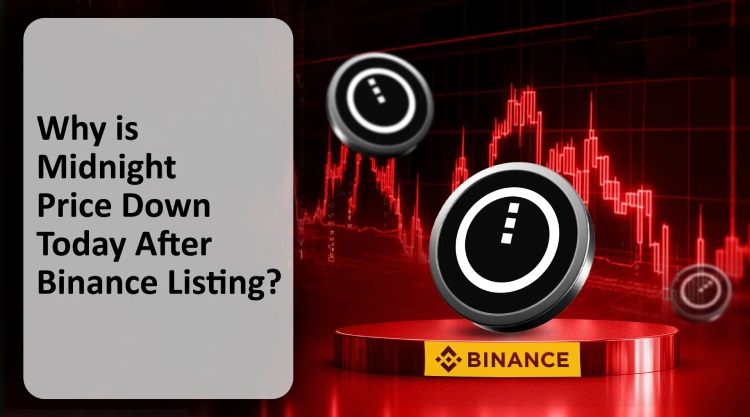 Midnight(NIGHT)�Ҽ۸�Ԥ��:Ϊʲô�Ұ����ߺ󷴶��µ���?�ǳ��׵ĺ�ʱ����?