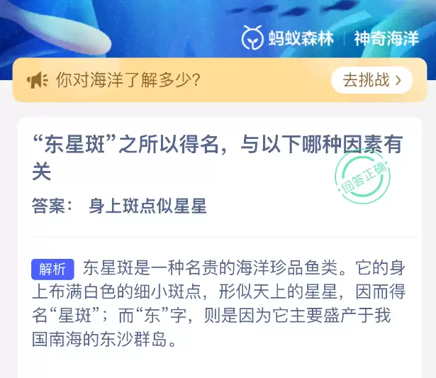东星斑之所以得名与以下哪种因素有关 东星斑之所以得名与以下哪种因素有关