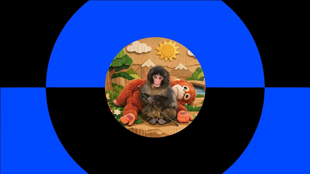 ʲô�� Punch (PUNCH) ����ң�������������ս���