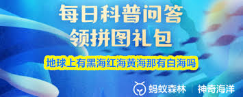 �������а׺���