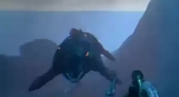 �����ۣ������������Ӣ��������ʳ��λ��һ��