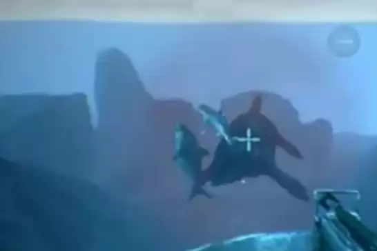 �����ۣ������������Ӣ��������ʳ��λ��һ��