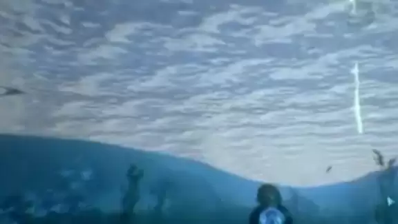 �����ۣ������������Ӣ��������ʳ��λ��һ��