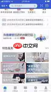 �������β鿴ҽ�Ʊ���