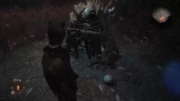 �������ư���ˣ�ĺ�����֧�߹��� ��ˣ�ĺ�����֧����ô��