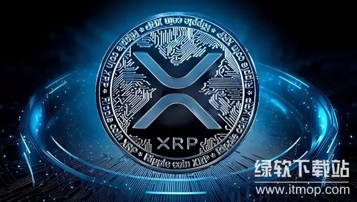 �𲨱ҽ�����������,������ʲô���أ��𲨱ҽ���������