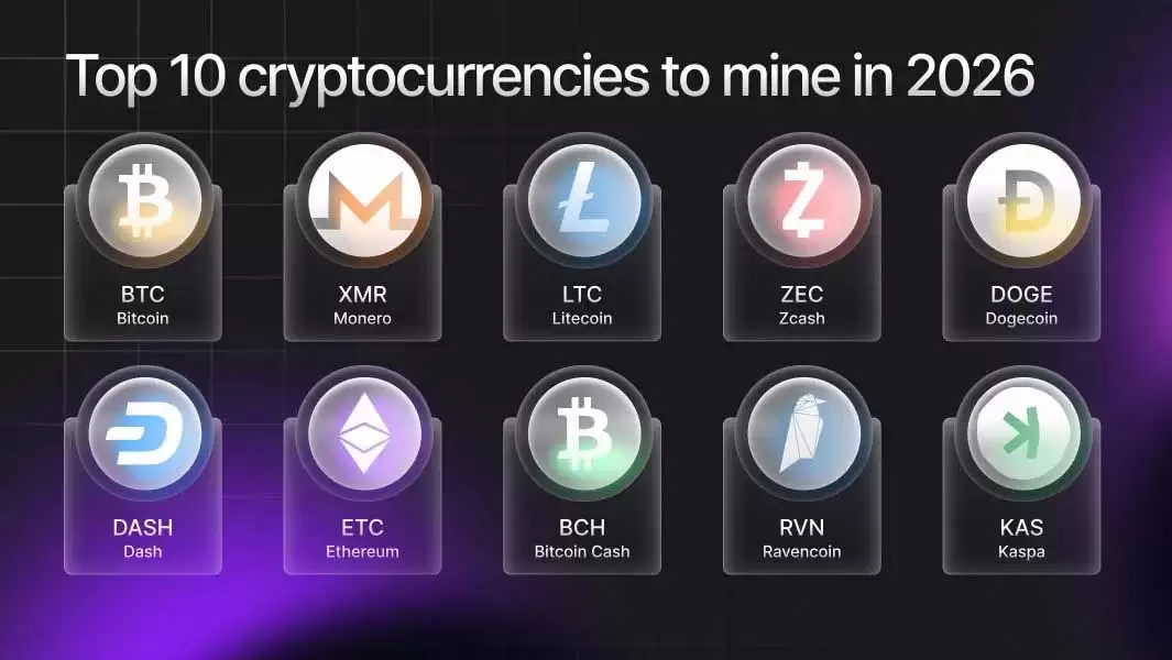 2026��ʮ����ֵ���ڿ�ļ��ܻ���:����ھ���ܻ��ң�