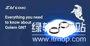 gnt�����ǰ����Σ�gnt��δ��Ͷ��ǰ������