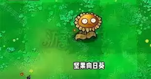 ֲ���ս��ʬ�ӽ��������տ��ܲ������ٹ���