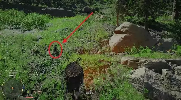 红色沙漠全探索图文流程攻略 全区域收集与支线指南 红色沙漠全探索图文流程攻略 全区域收集与支线指南