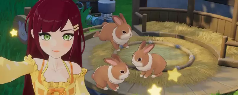 ����ɰ����BOBO����ָ��