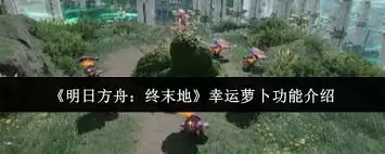 ���շ�����ĩ�������ܲ�������ʲô