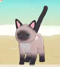 ����ɰ��������������ָ��