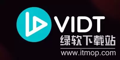 vidt����ô��,vidt��ֵ�ó��ڳ�����