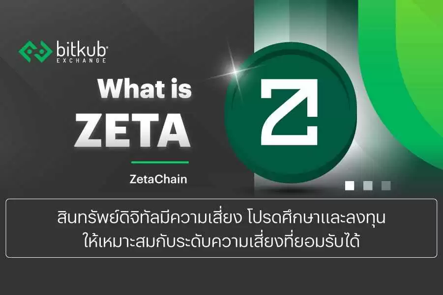 ZETA���Ŷ����Ĺ��ģ�ZETA���ŶӼ�Ͷ���˽���