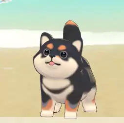 ����ɰ����BOBO����ָ��