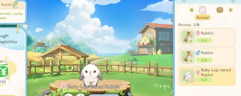 ����ɰ������������ָ��