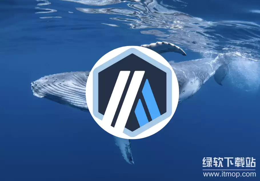 arb����ô��,arb����pianju��