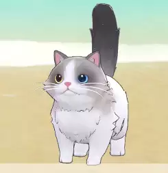 ����ɰ����404����ָ��