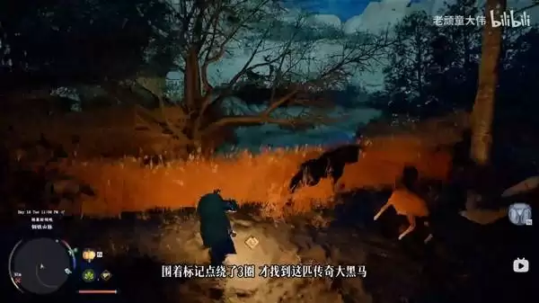 ��ɫɳĮ���������޿��»�ȡ���� ��ƥ�޿�������