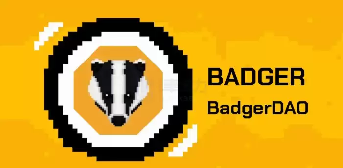 badger����Ǳ����,badger�ҵ�Ǳ���󲻴��أ�