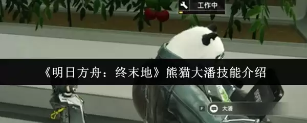 �����շ��ۣ���ĩ�ء���è���˼��ܽ���