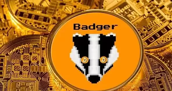 badger����Ǳ����,badger�ҵ�Ǳ���󲻴��أ�