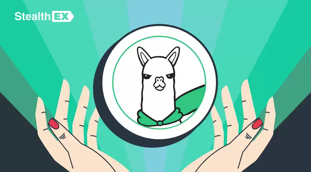 AlPACA�ҷ��������٣�AlPACA�ҷ�����������