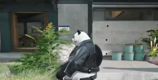 �����շ��ۣ���ĩ�ء���è���˼��ܽ���