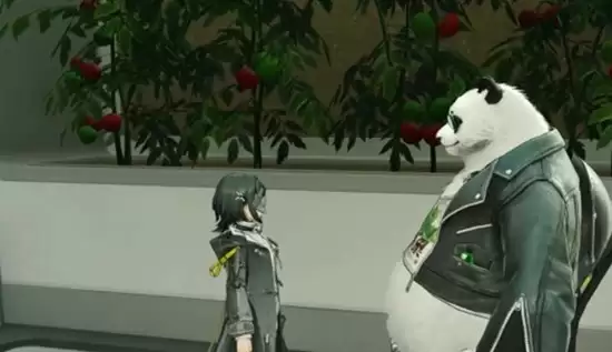 �����շ��ۣ���ĩ�ء���è���˼��ܽ���