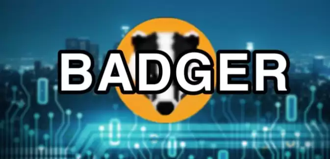 badger����Ǳ����,badger�ҵ�Ǳ���󲻴��أ�