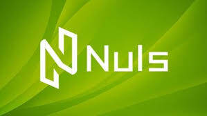 nuls�Ҵ�ʼ����˭��nuls�Ҵ�ʼ�˱�������