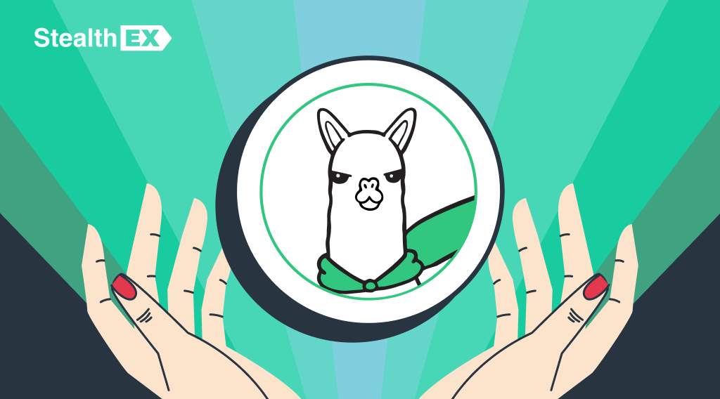 AlPACA�ҷ��������٣�AlPACA�ҷ�����������