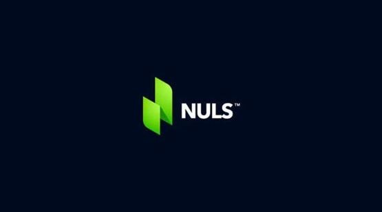 nuls���ǹ�����,һ�����Ϲ��������
