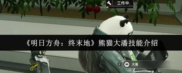 �����շ��ۣ���ĩ�ء���è���˼��ܽ���