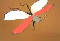 �ڻ�֮������ͼ����ȫ ȫ����λ�ý���