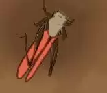 �ڻ�֮������ͼ����ȫ ȫ����λ�ý���