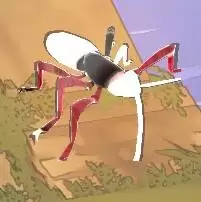 �ڻ�֮������ͼ����ȫ ȫ����λ�ý���