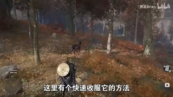 ��ɫɳĮ��˵����������ǿ��װ���ռ� ������ñ����