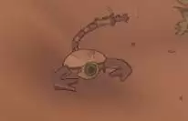 �ڻ�֮������ͼ����ȫ ȫ����λ�ý���