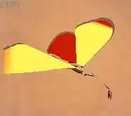 �ڻ�֮������ͼ����ȫ ȫ����λ�ý���