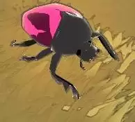 �ڻ�֮������ͼ����ȫ ȫ����λ�ý���