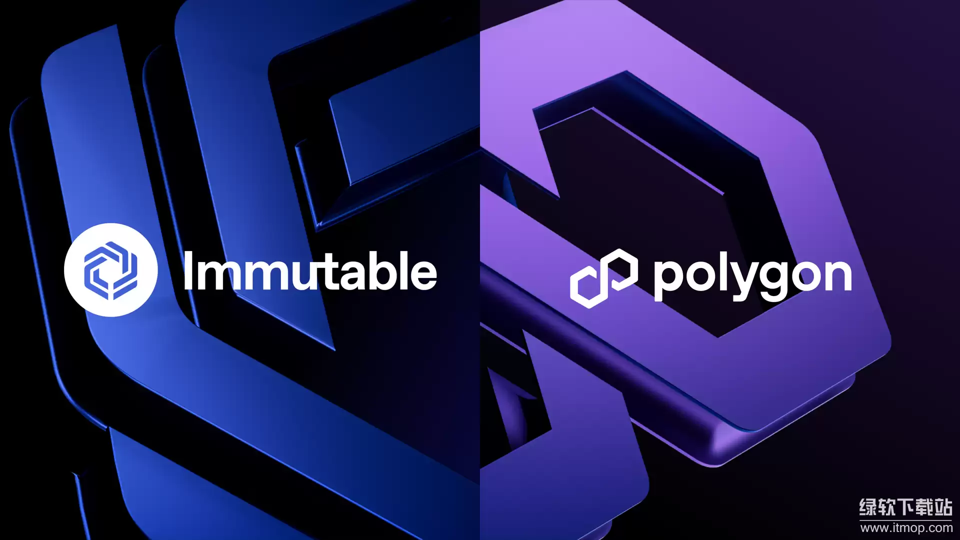 Polygon������������ʲô�������ص�����Щ��